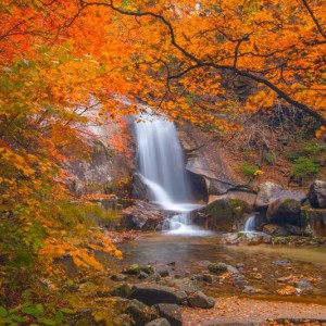 gangcunseong-autumn-7554430 800